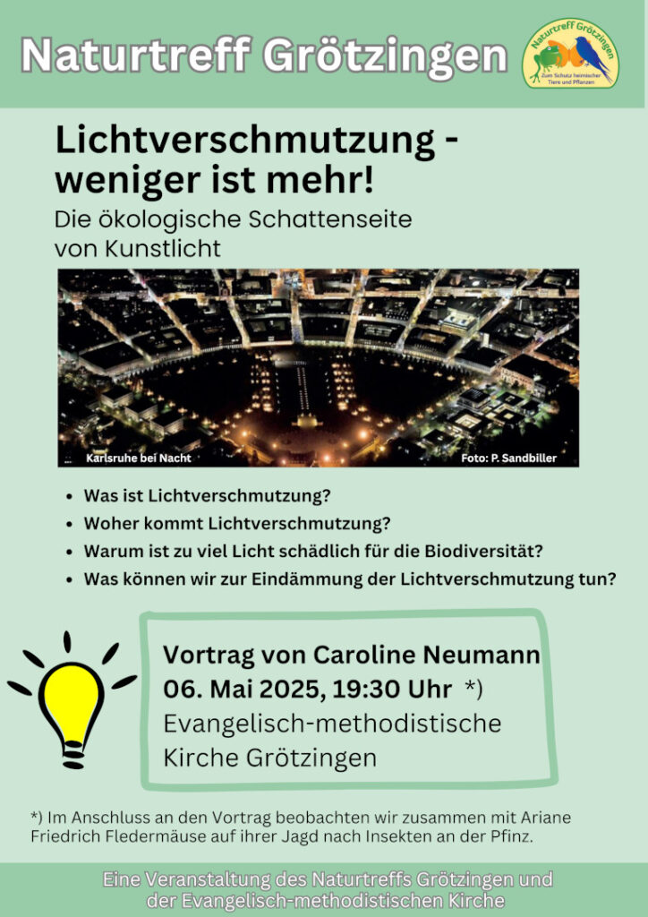 Plakat zur Veranstaltung "Lichtverschmutzung - weniger ist mehr!" In der Mitte ist ein Bild vom Karlsruher Schlossplatz bei Nacht.