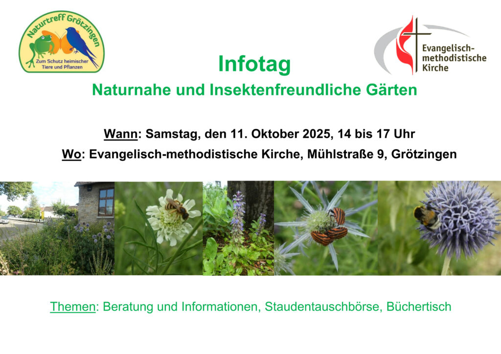 Das Plakat zeigt die Logos des Naturtreffs Grötzingen und der Evangelisch-methodistischen Kirche. Darunter sind Bilder mit Blüten und Insekten. Ein Bild zeiigt den Vorgarten der Christuskapelle in Grötzingen, der vom Naturtreff gestaltet wurde.