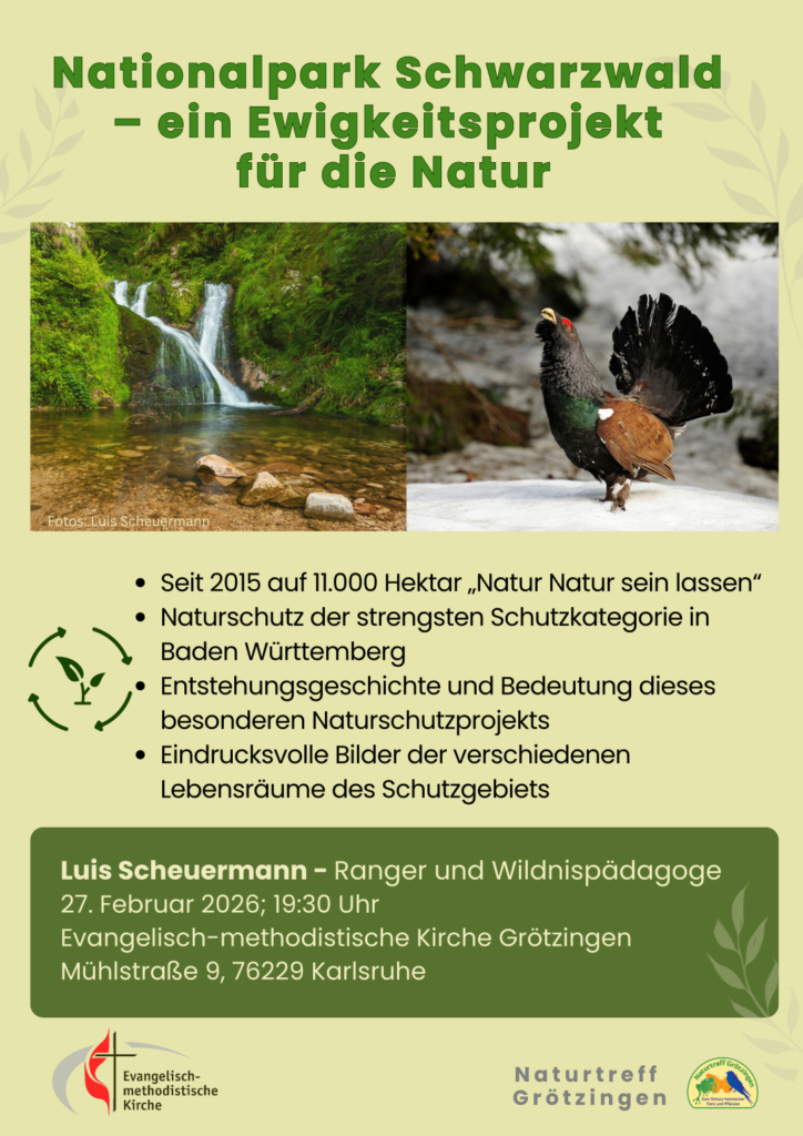 Werbeplakat, das einen kleinen Wasserfall und einen Vogel zeigt
